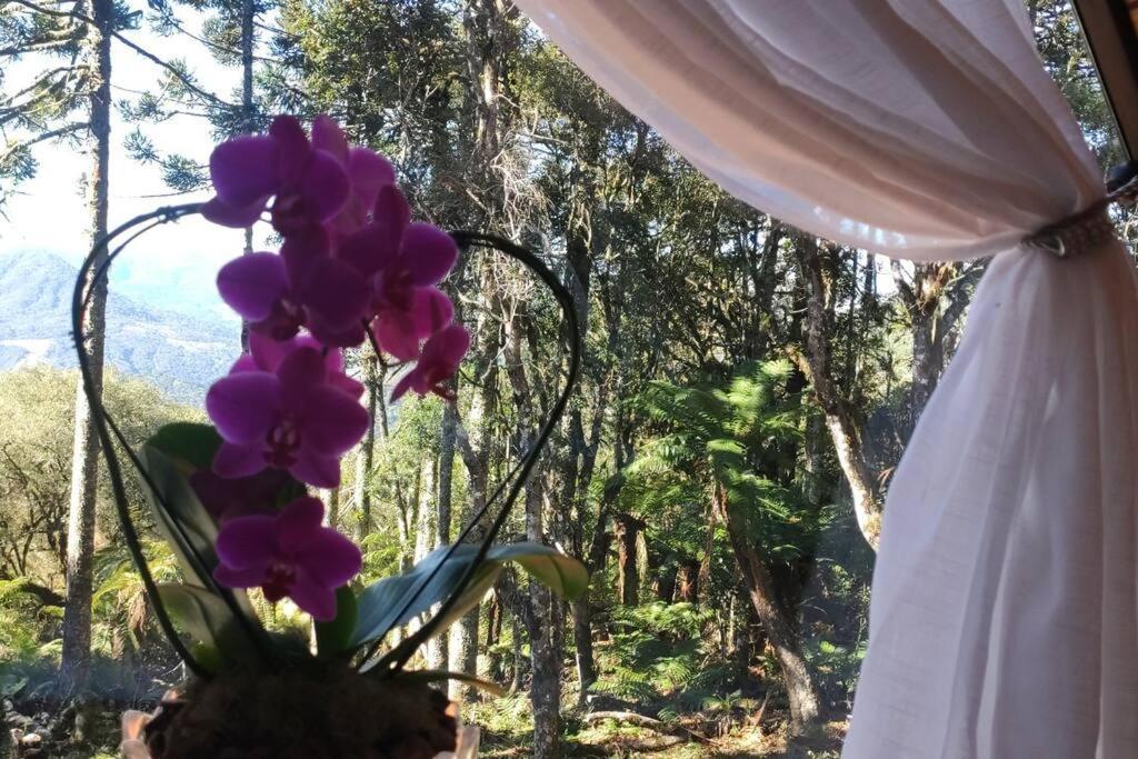 Chalet Da Montanha, Morro Da Igreja